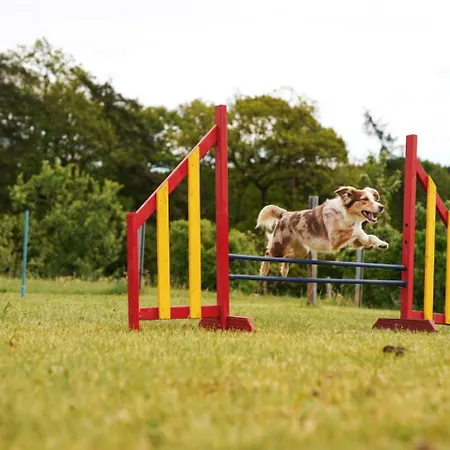 Hof Koehne- Haus Am Spielplatz - Strauss Schmallenberg