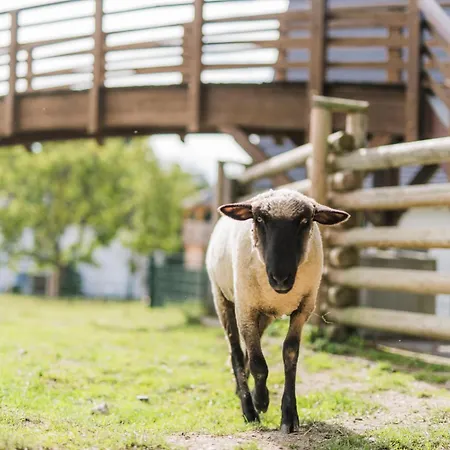 Apartment Hof Koehne- Haus Am Spielplatz - Strauss *