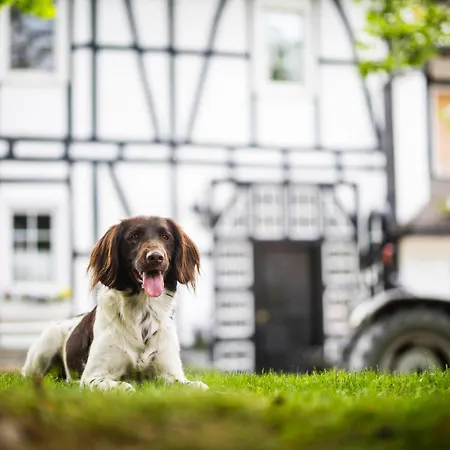 Hof Koehne- Haus Am Spielplatz - Strauss *
