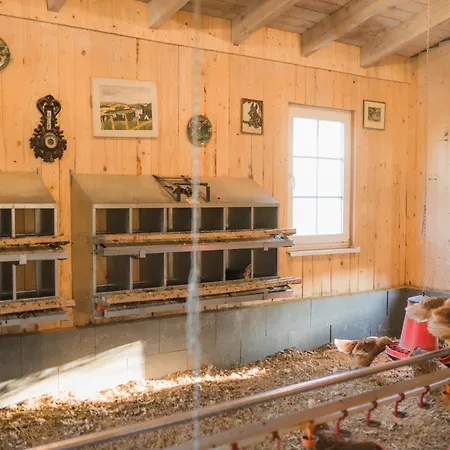 Apartment Hof Koehne- Haus Am Spielplatz - Strauss