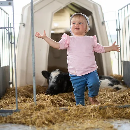 Apartment Hof Koehne- Haus Am Spielplatz - Strauss