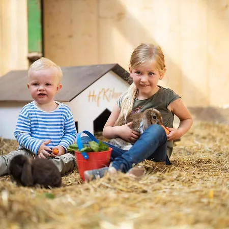 Apartment Hof Koehne- Haus Am Spielplatz - Strauss *