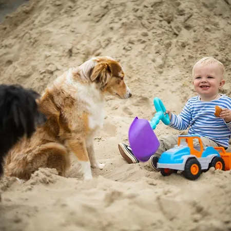 Hof Koehne- Haus Am Spielplatz - Strauss Schmallenberg