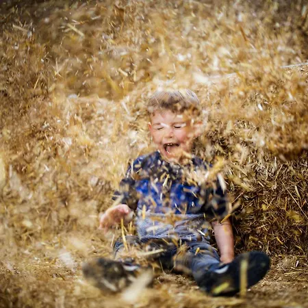 Hof Koehne- Haus Am Spielplatz - Strauss Apartment *