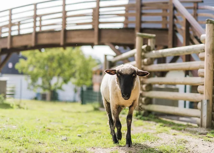 Διαμέρισμα Hof Koehne- Haus Am Spielplatz - Strauss *