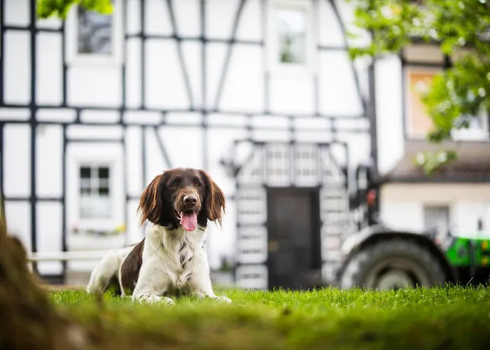 Hof Koehne- Haus Am Spielplatz - Strauss *