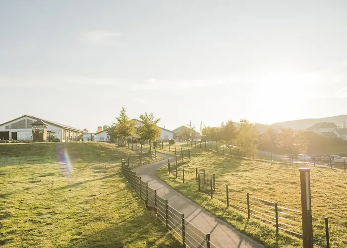 Hof Koehne- Haus Am Spielplatz - Strauss Schmallenberg