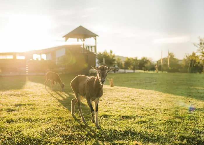 Hof Koehne- Haus Am Spielplatz - Strauss Διαμέρισμα *